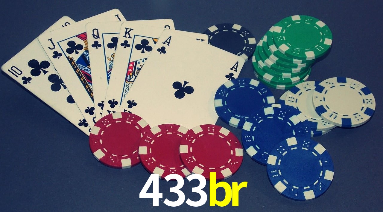 Experiência VIP 433br