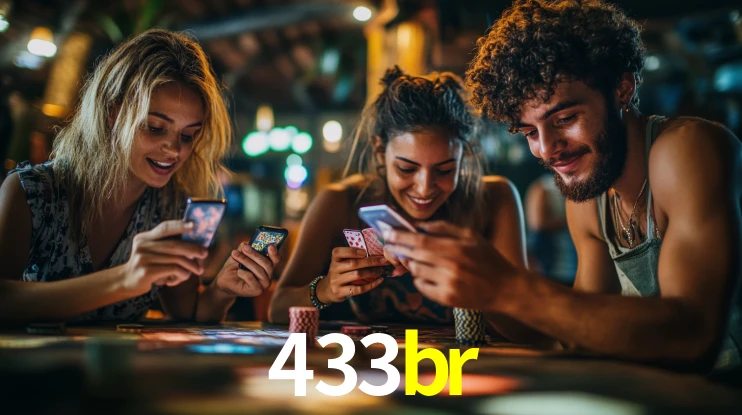 Premium Interface 433br